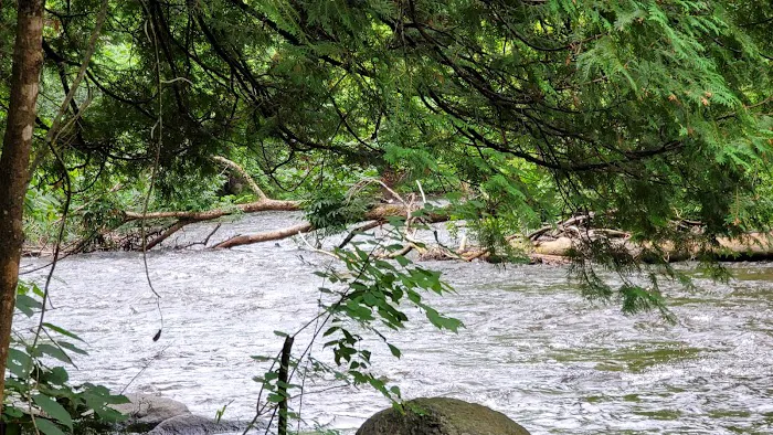 Bagley Rapids Campground 7