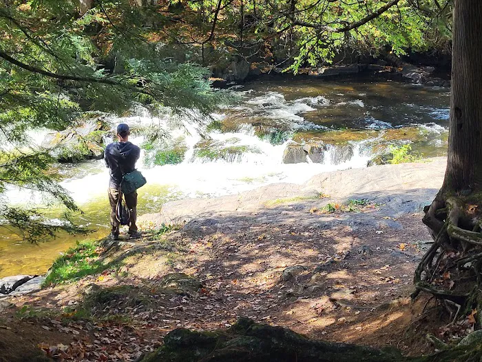 Bagley Rapids Campground 9