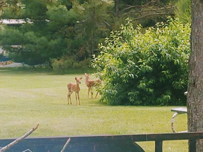 Peshtigo River Campground, LLC 6