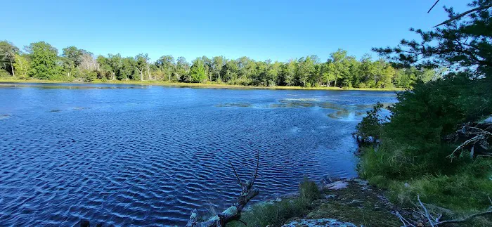 Peshtigo River Kayak Campsite 3
