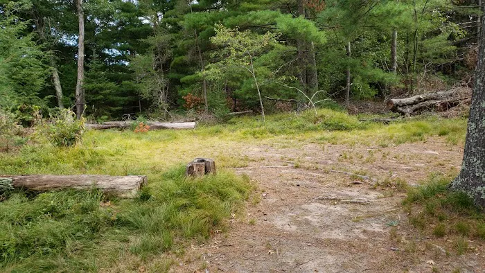 Peshtigo River Kayak Campsite 5
