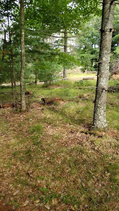 Peshtigo River Kayak Campsite 8