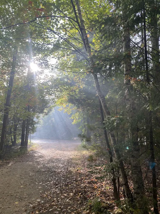 Frontier Wilderness Campground 6
