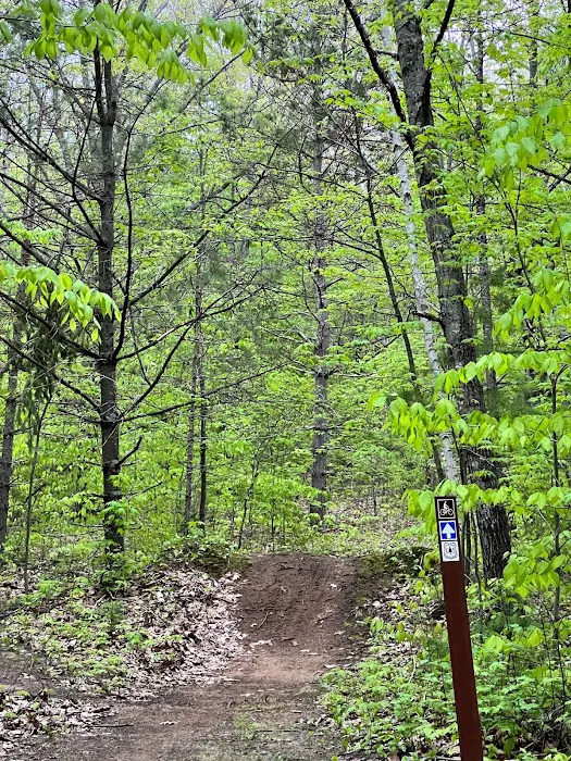 River Forest Campground 9