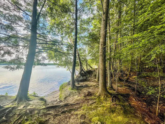 Boulder Lake Campground 6