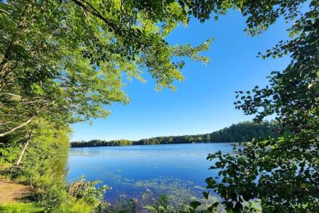 Lake Dubay Park Campground