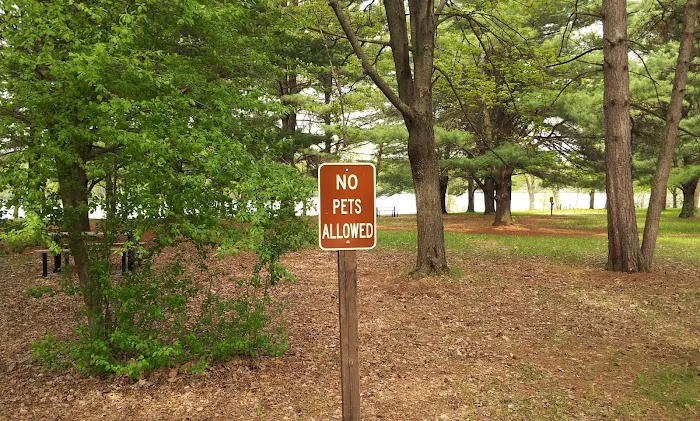 Lake Dubay Park Campground 7