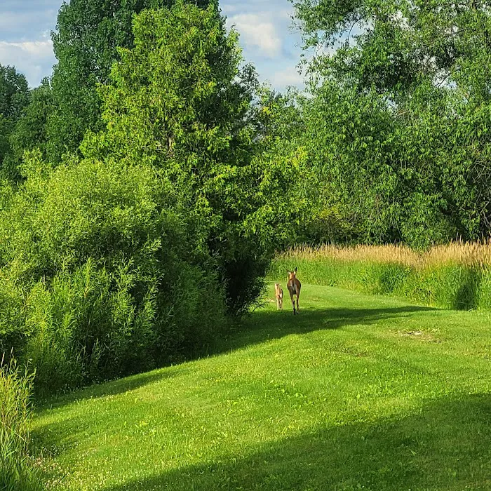 Spring valley ponds campground 3
