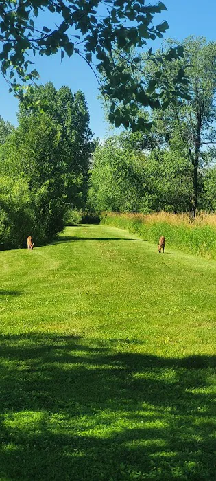 Spring valley ponds campground 7