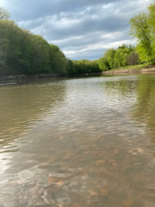 The Meadow Campground & Coffee House 6