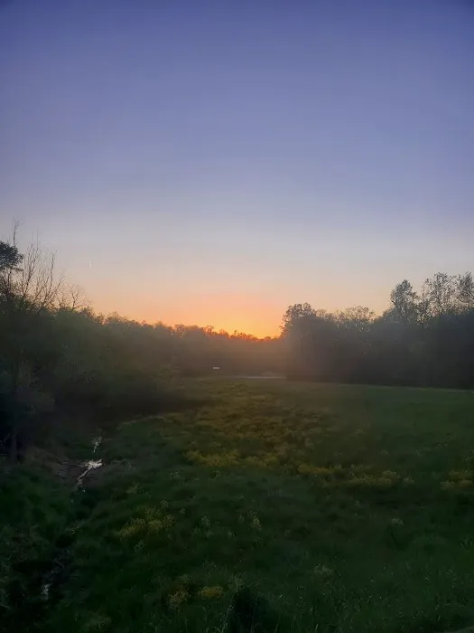 Bluffview 4