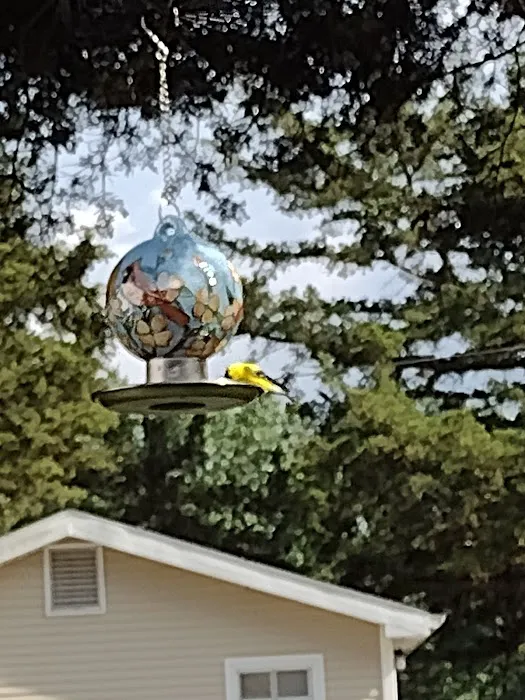 Hillbilly's Campground 9