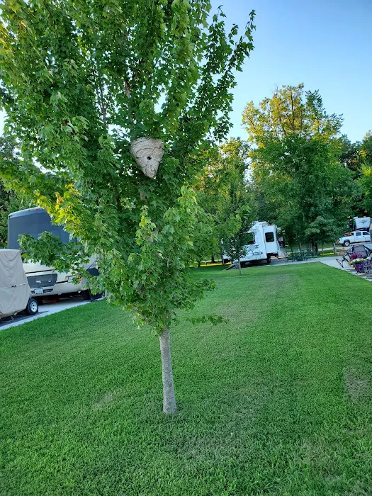 Adventure Out RV Park 7