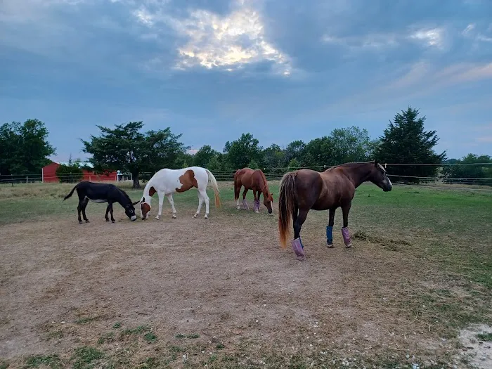 Double Hearts Ranch 1