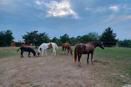 Double Hearts Ranch