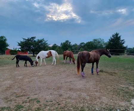 Double Hearts Ranch
