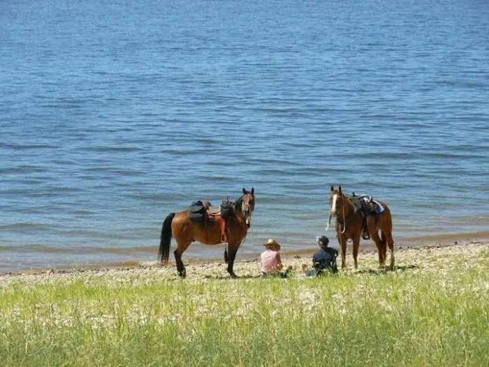 V.P. Lone Star Campground 1