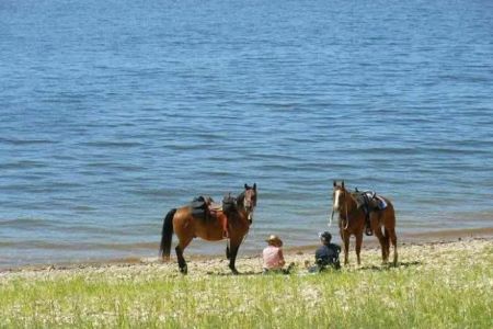 V.P. Lone Star Campground