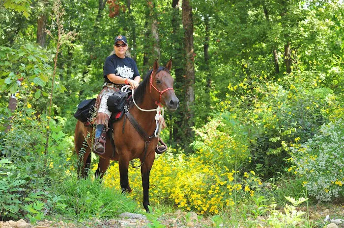 V.P. Lone Star Campground 2