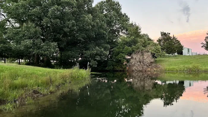 V.P. Lone Star Campground 6