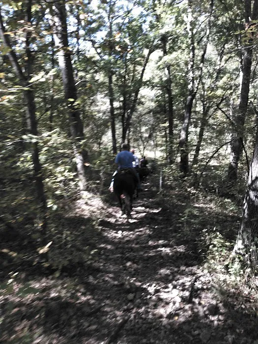 V.P. Lone Star Campground 8