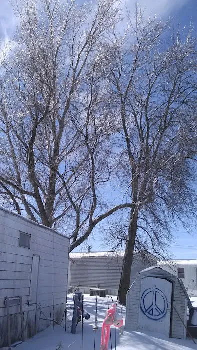 Terrace Manor Mobile Home Park 1