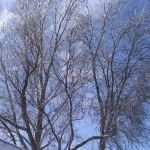 Terrace Manor Mobile Home Park