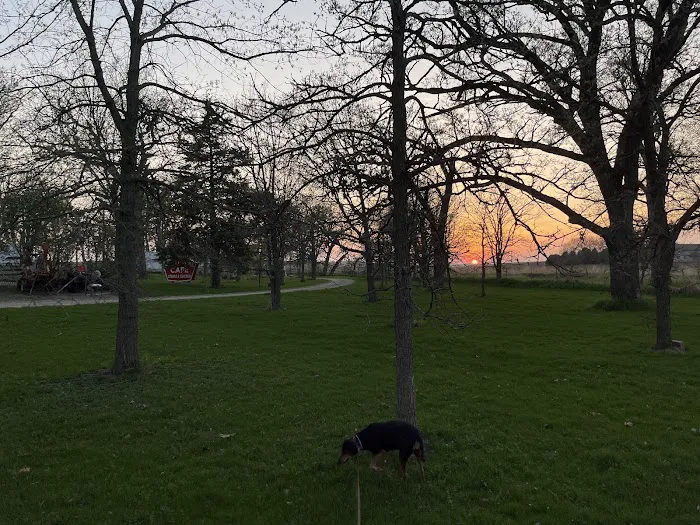 Shady Oaks RV Campground 3