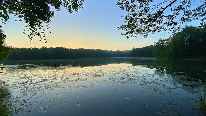 Ionia State Recreation Area Campground 4