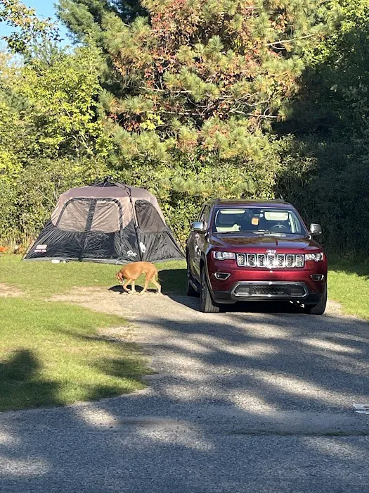 Ionia State Recreation Area Campground 10