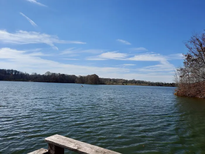 Ionia State Recreation Area Campground 8