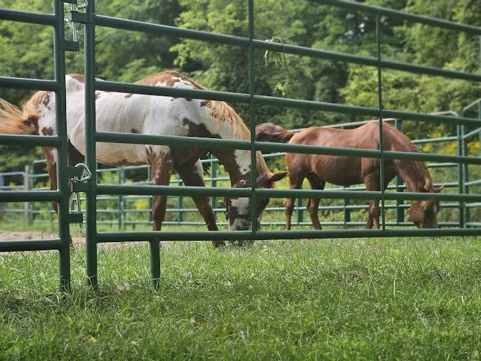Ionia Equestrian-Rustic 5