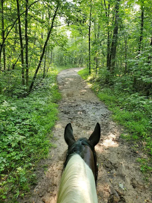 Ionia Equestrian-Rustic 3