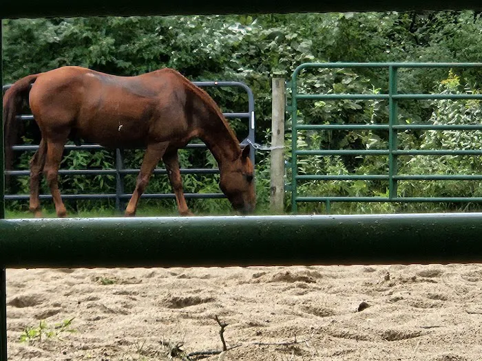 Ionia Equestrian-Rustic 1