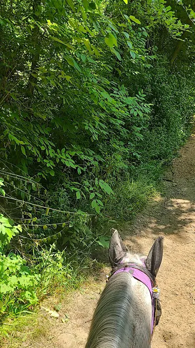 Ionia Equestrian-Rustic 4