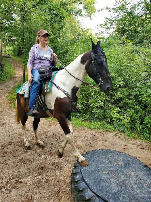 Ionia Equestrian-Rustic 10