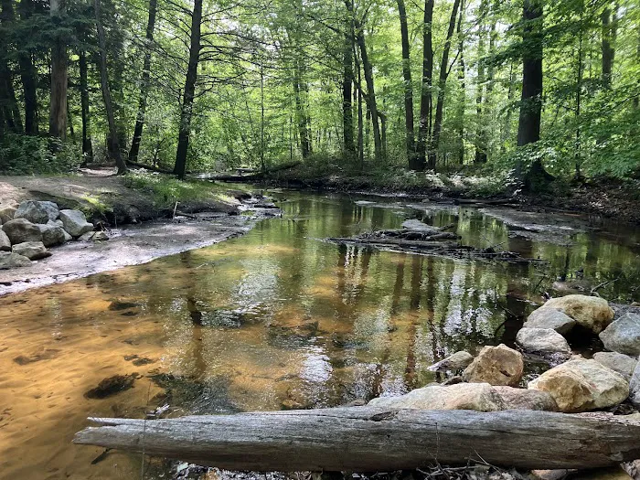 P. J. Hoffmaster Campground 6