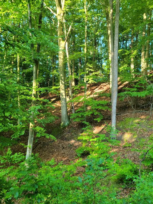 P. J. Hoffmaster Campground 10