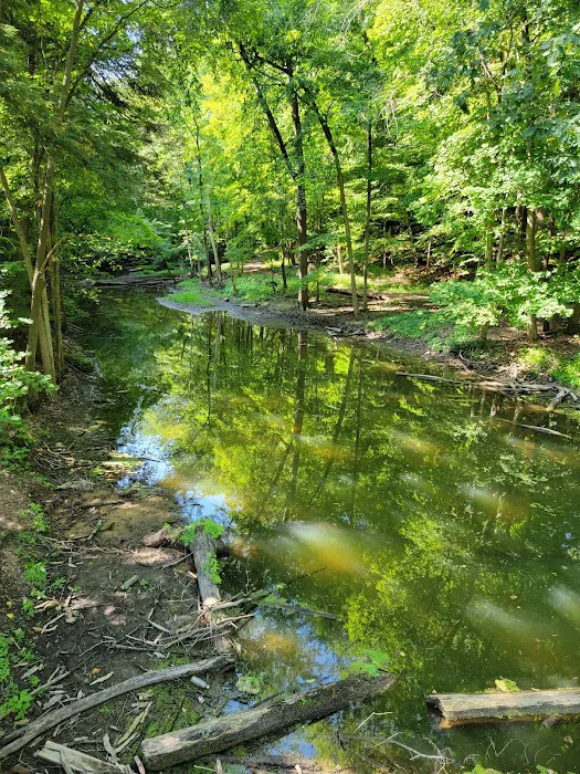 Grand Ledge Ravines 10