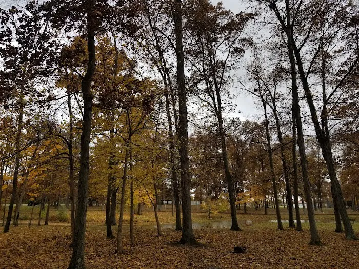 Camp Robin Rogers 3