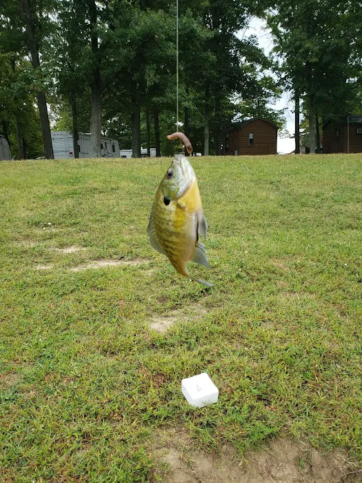 Twin Lakes Park 9