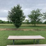 Ottawa Metro Park Campground