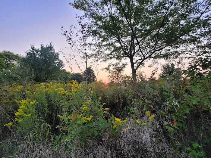 Ottawa Metro Park Campground 10