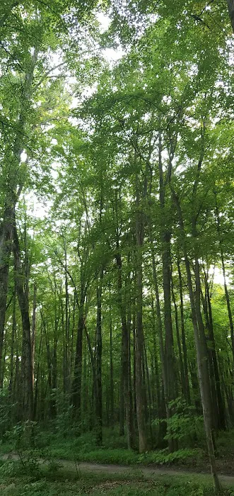 Twin Acres Campground 8