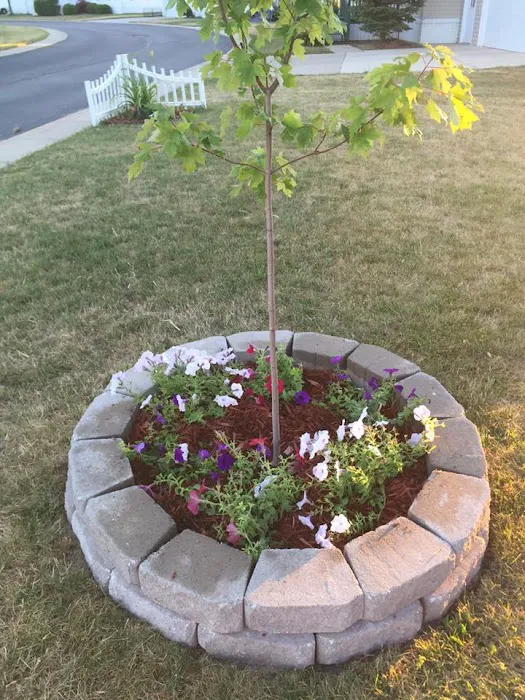 Sycamore Village 10