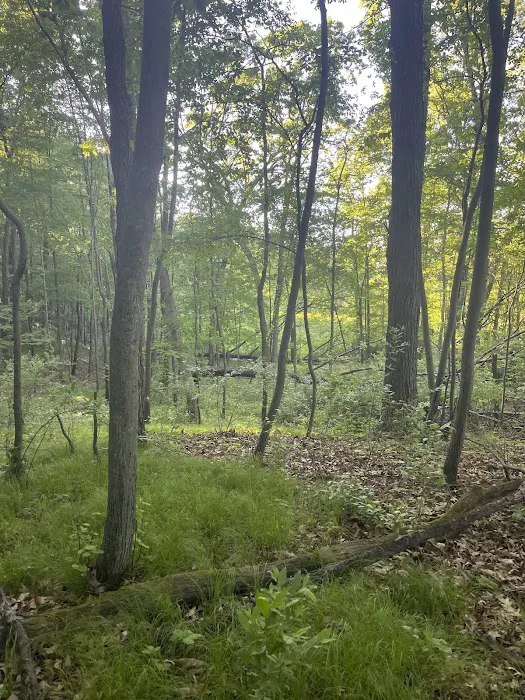 Holiday Campgrounds LLC 7