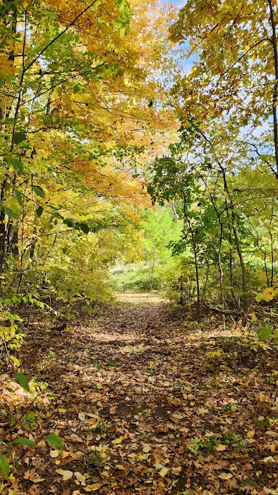 Waterloo Recreation Area Group Camp 3