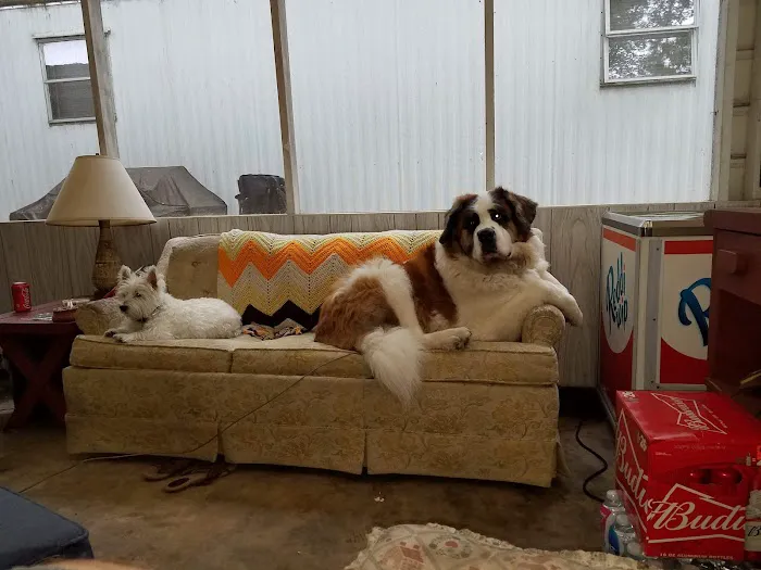 Vinings Trailer Park 7