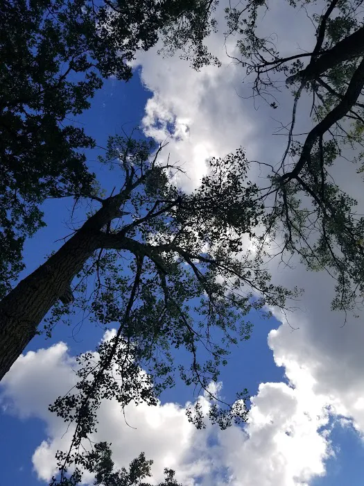 Vining Campground 1