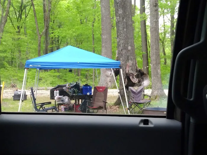 Shirley Creek Horse Camp 7